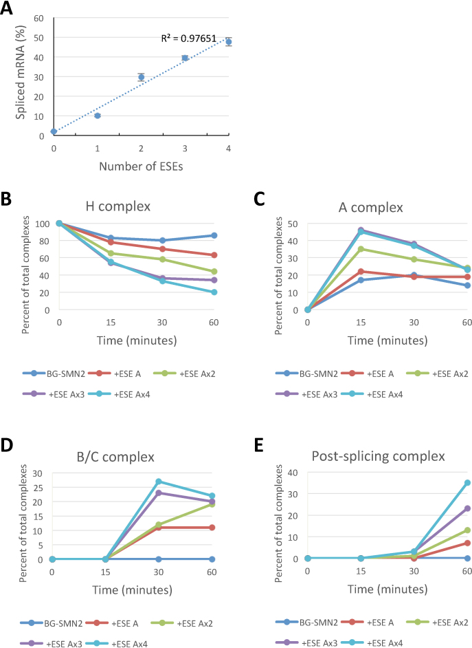 Figure 4.