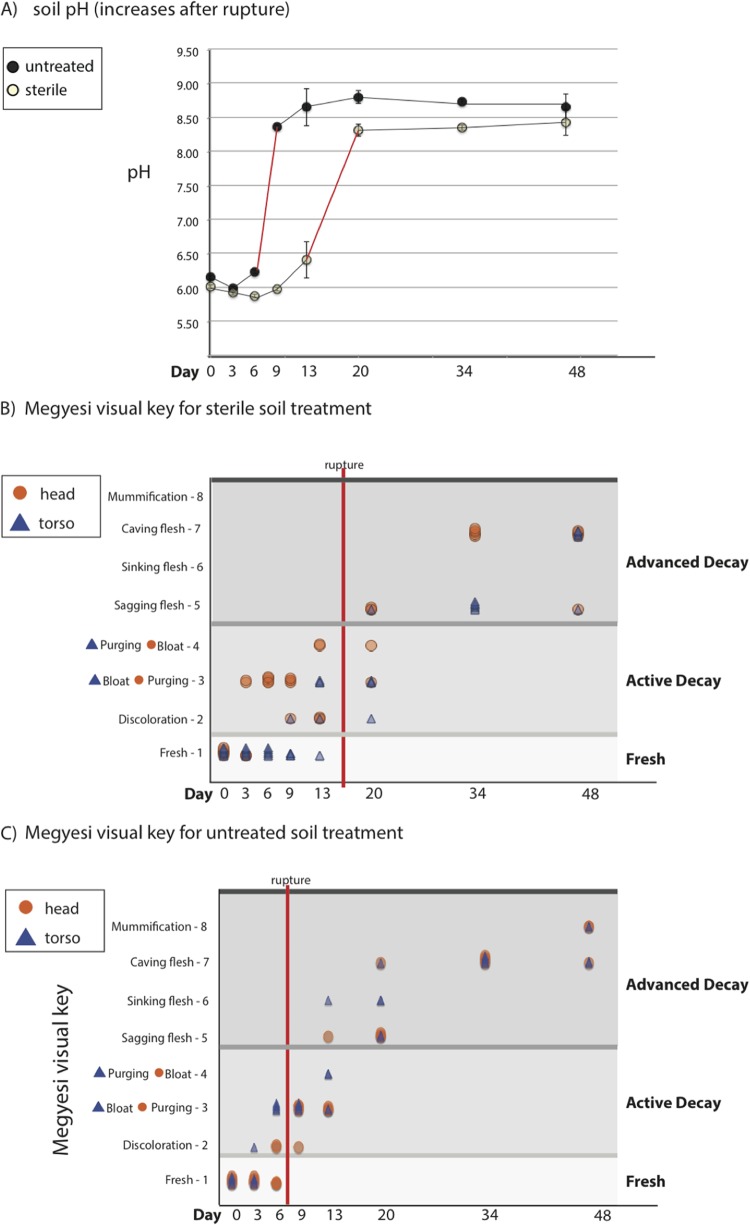 FIG 3