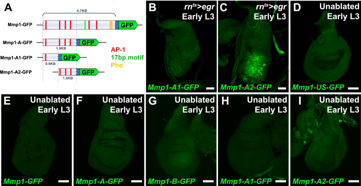 Figure 1—figure supplement 2.