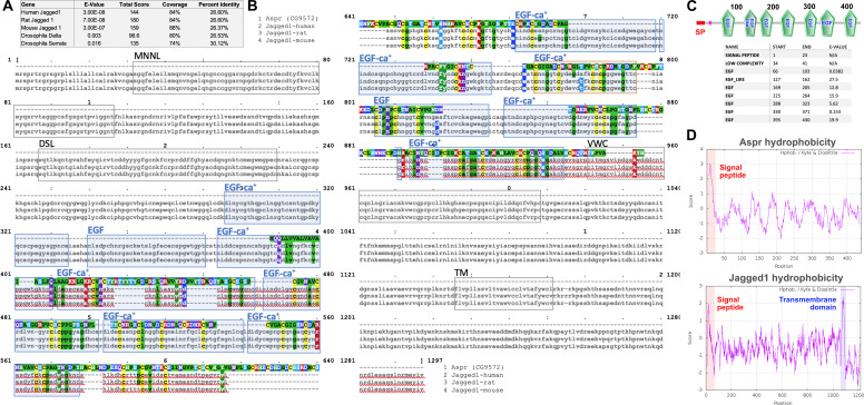 Figure 5—figure supplement 1.