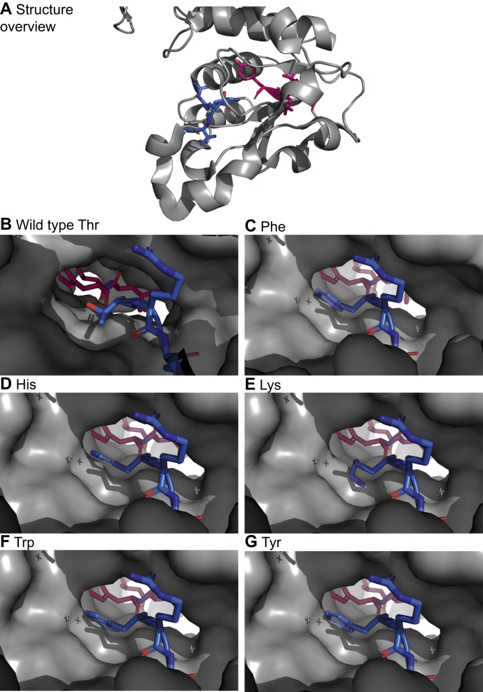 Figure 7