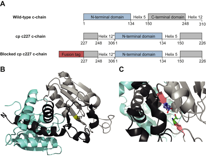 Figure 1