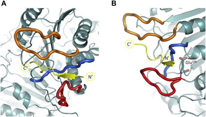 Figure 4