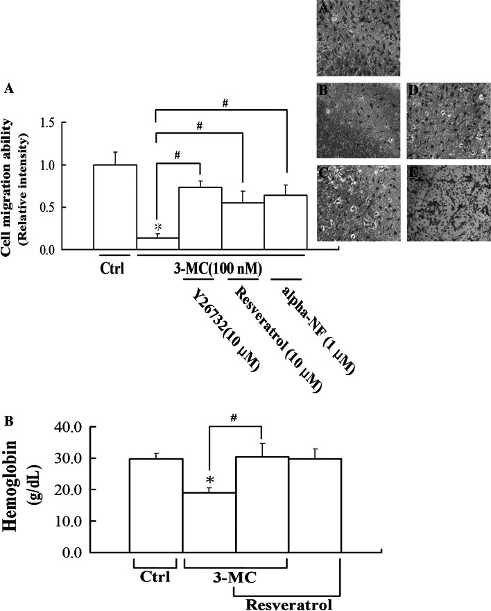 Fig. 8