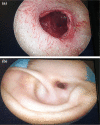 Fig. 4