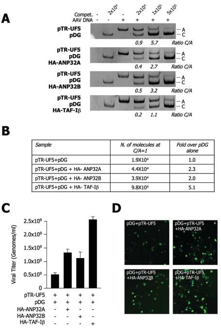 FIG. 8.