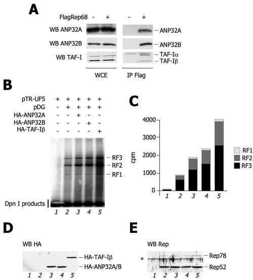 FIG. 6.