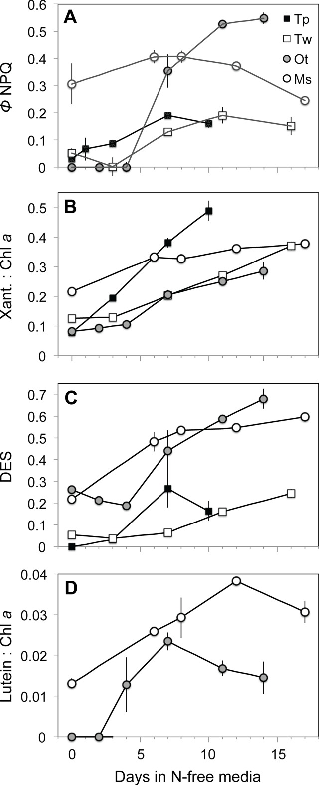 Fig 5