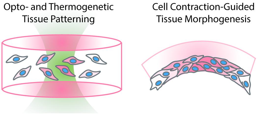 Figure 4 – 