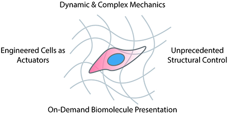 graphic file with name nihms-1720900-f0005.jpg