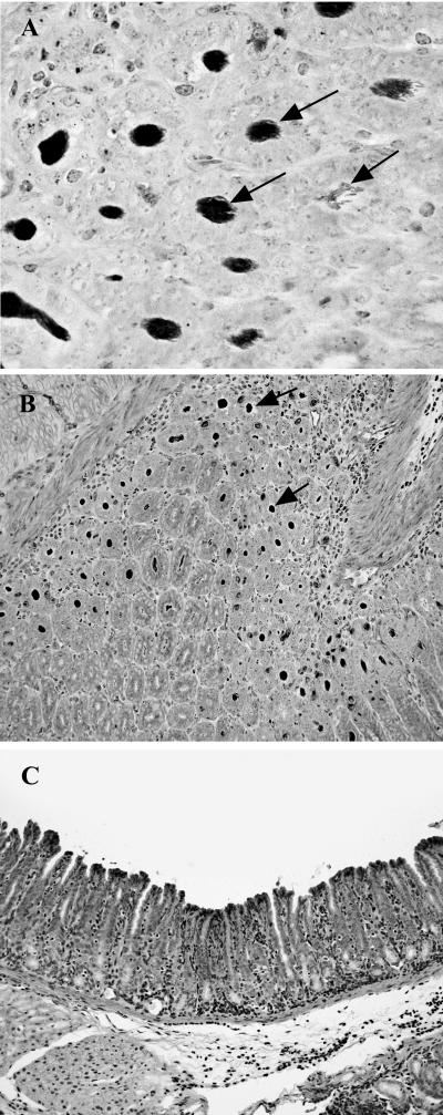 FIG. 4.