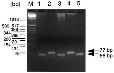 FIG. 5