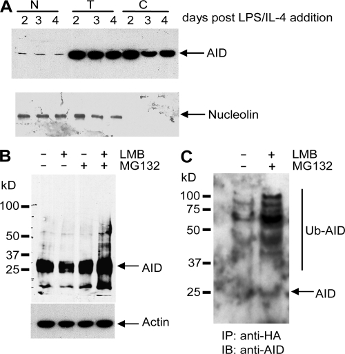 Figure 6.