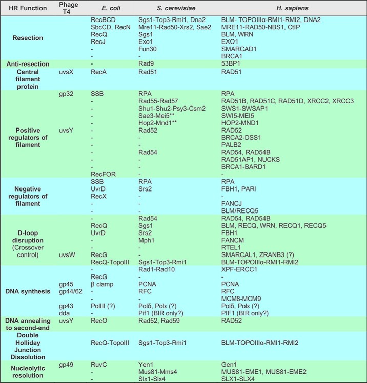 graphic file with name zbc021188694t001.jpg