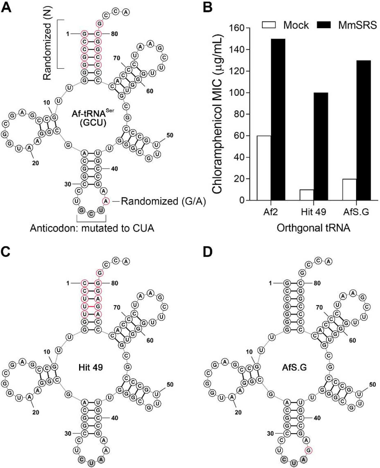 Figure 2.