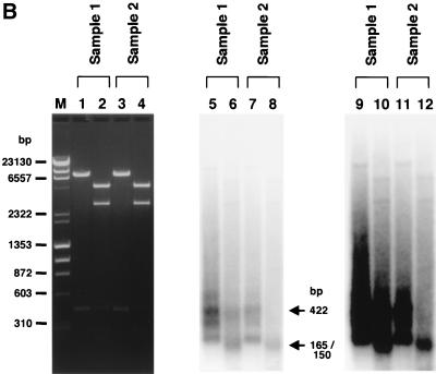 FIG. 5