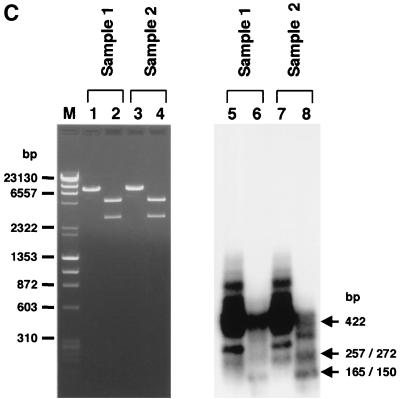 FIG. 5