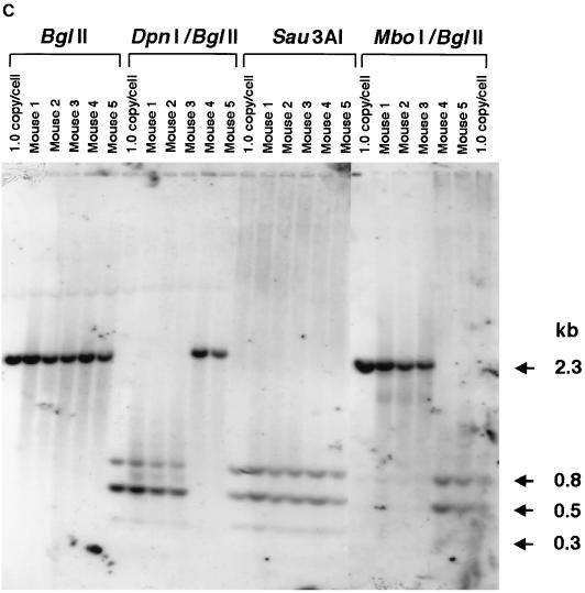 FIG. 4