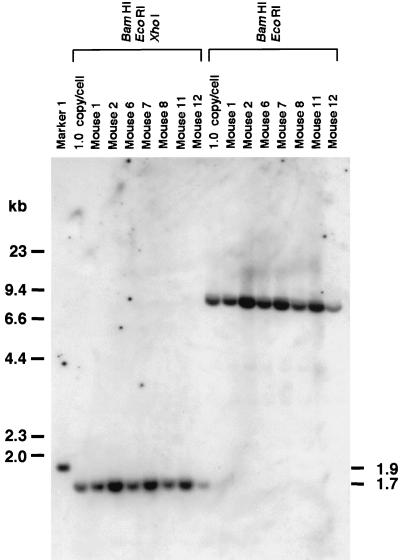 FIG. 6