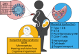 Fig 4