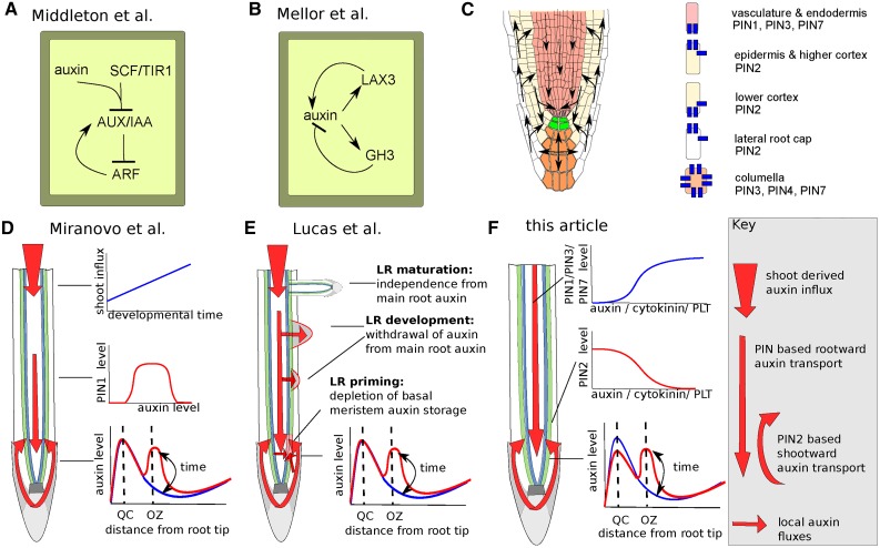 Figure 2.