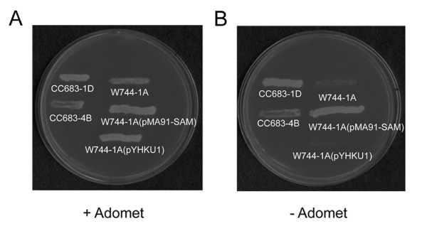 Figure 5