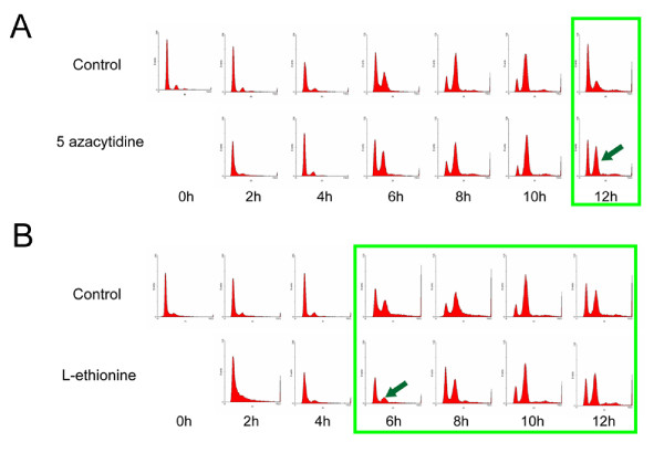 Figure 9