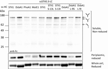 Fig. 3