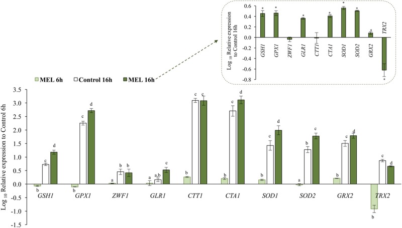 FIGURE 3