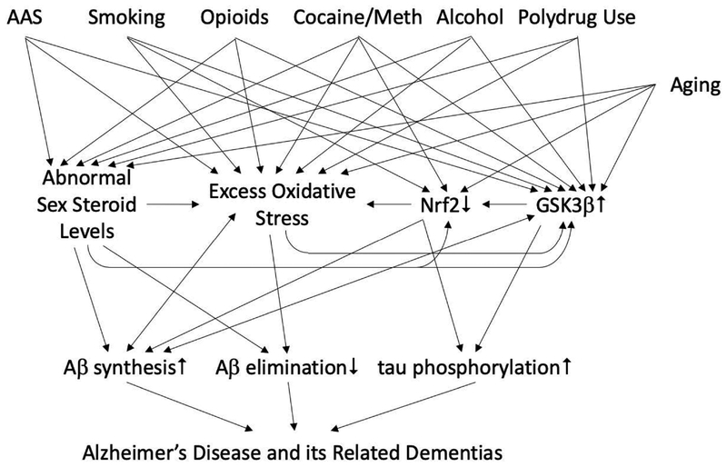 Figure 3: