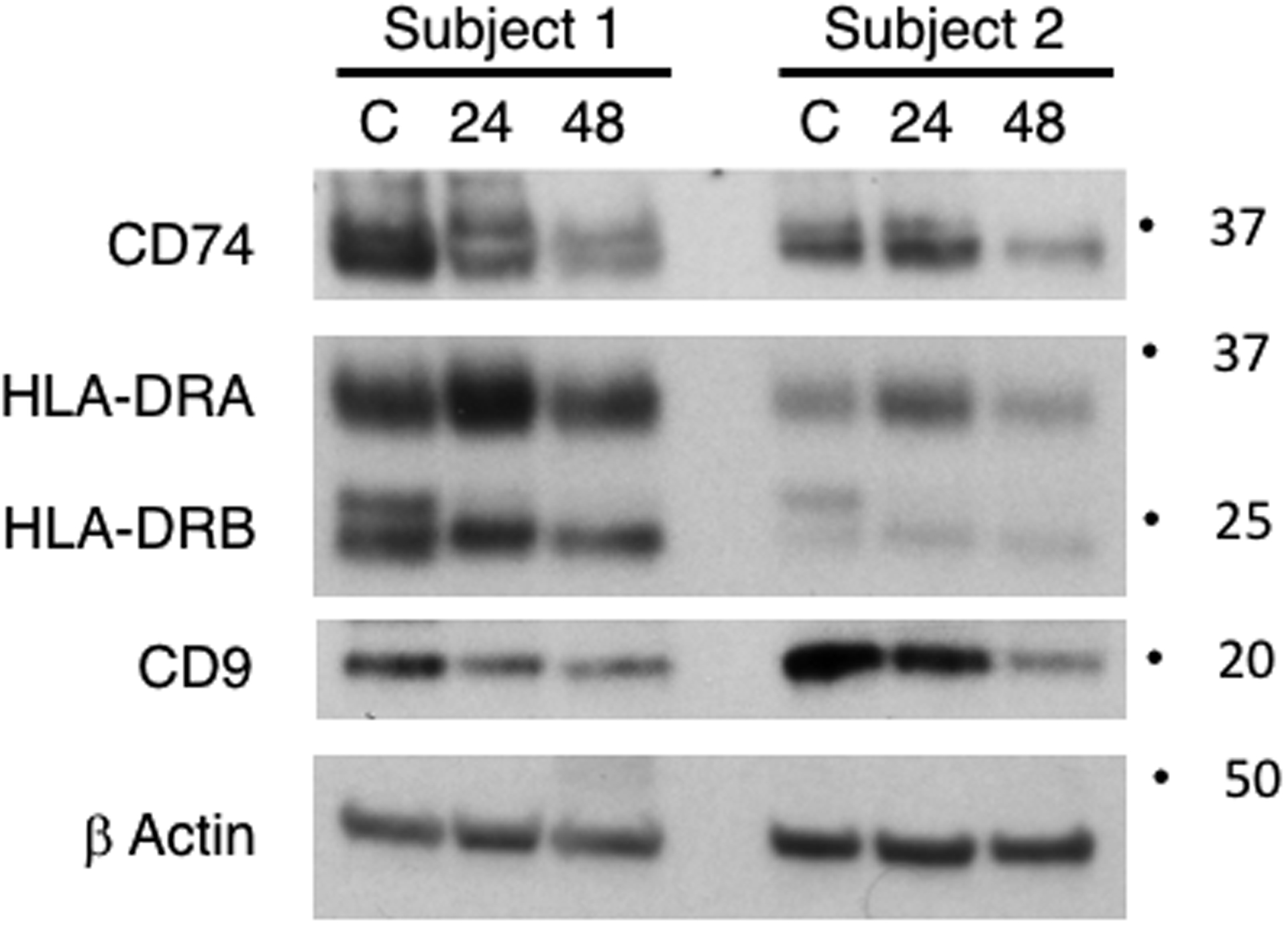 Fig 3.