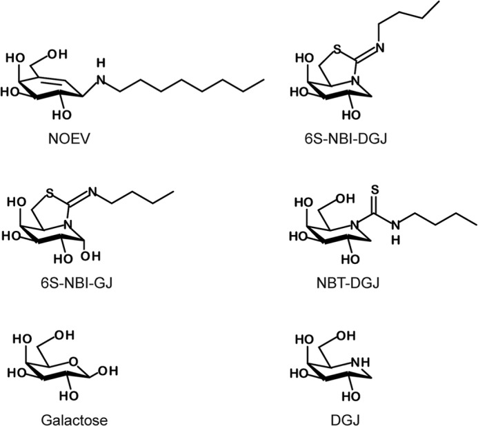 FIGURE 1.