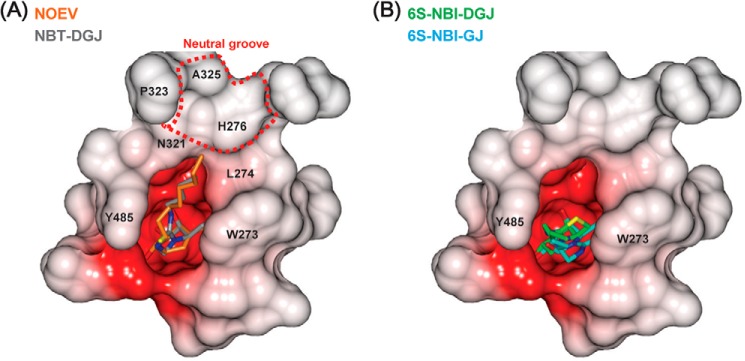 FIGURE 5.