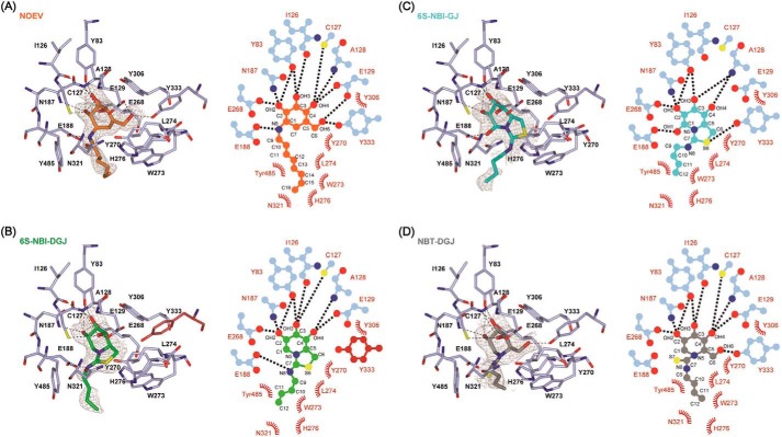 FIGURE 4.