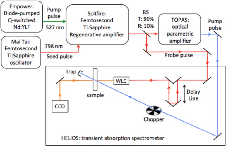 Fig. 2