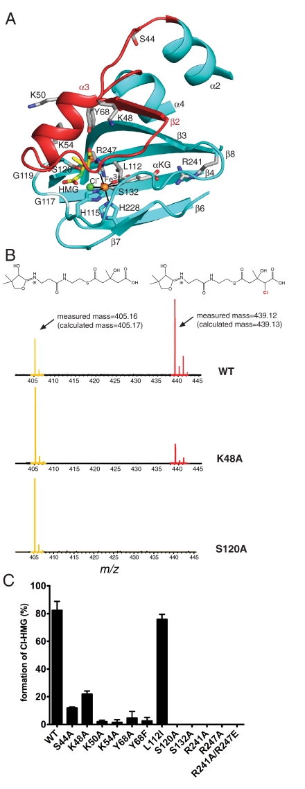 Fig. 4.