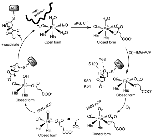 Fig. 3.