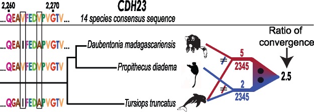 Fig. 2.—