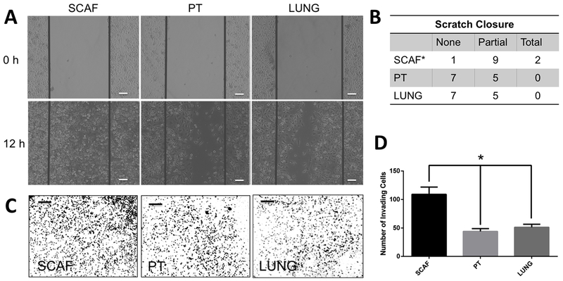 Figure 3: