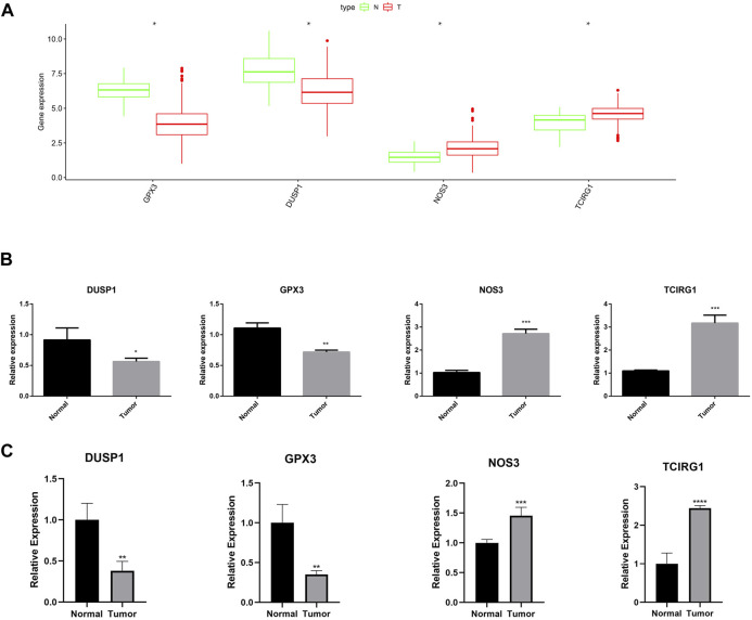 FIGURE 15