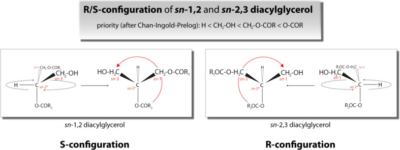 Fig. 2