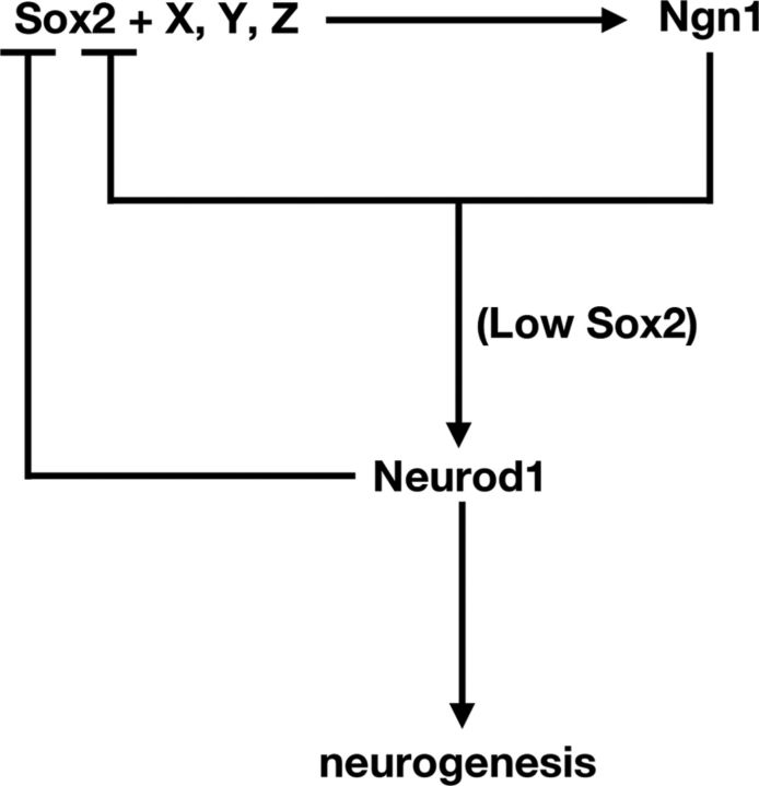 Figure 9.