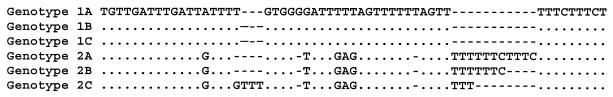 FIG. 1