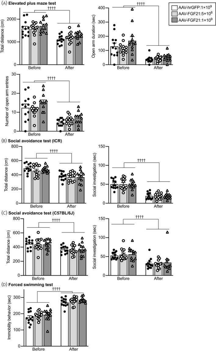 FIGURE 11