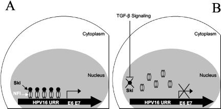 FIG. 9.