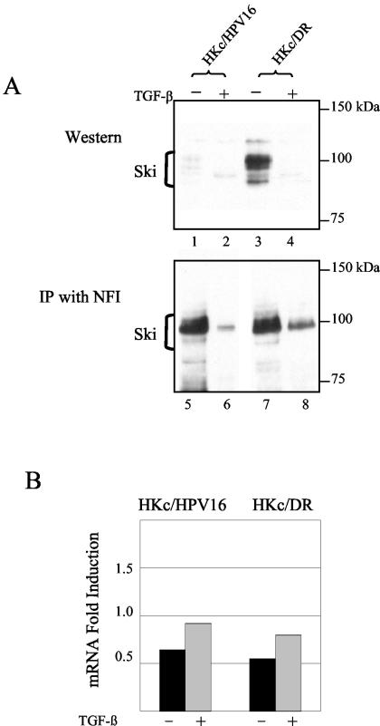 FIG. 7.