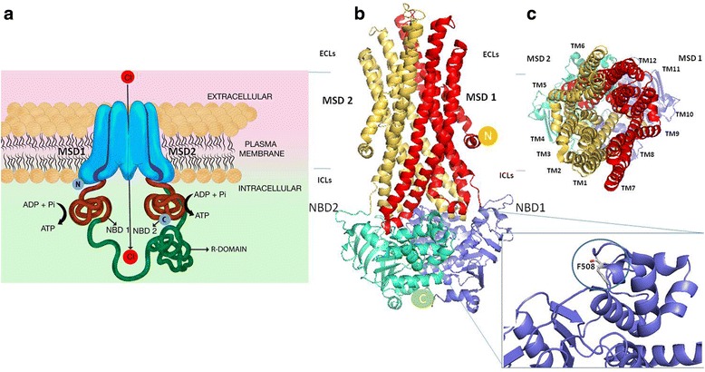 Fig. 1