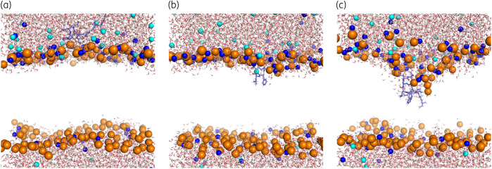 Figure 5.