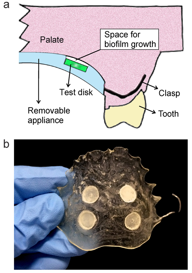 Figure 6