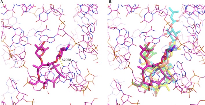 FIGURE 2